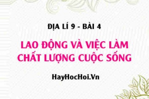 Nguồn lao động, vấn đề việc làm của nước ta hiện nay, chất lượng cuộc sống của người dân Việt Nam- Địa lí 9 bài 4